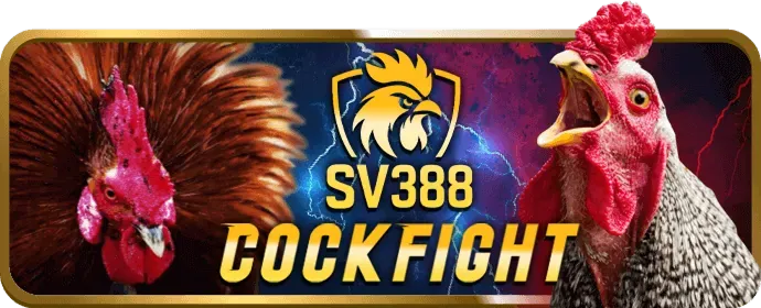 Sứ mệnh của t4wbet link vào